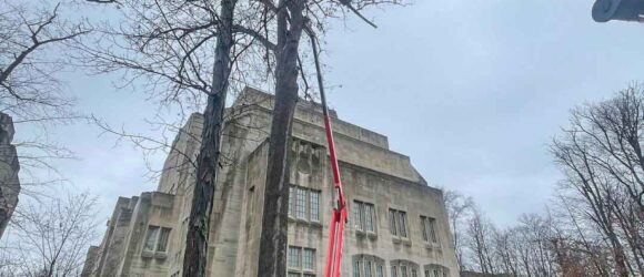 Crane and track lift removing limbs