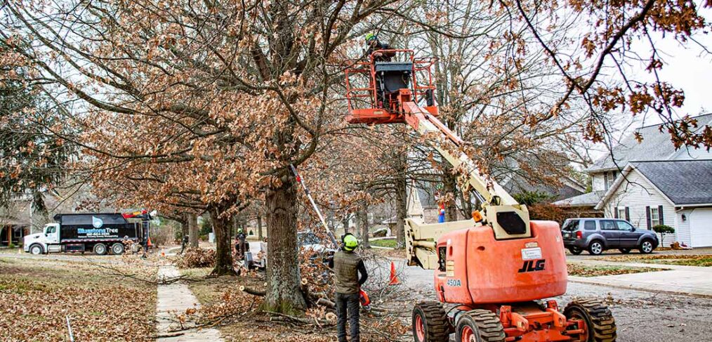 tree trimming crew on city street