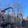 Timelapse of Two Cranes Removing Two Trees [VIDEO SHORT]