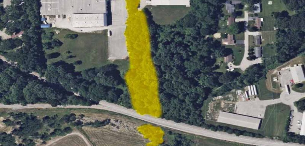 highlighted trees for land clearing