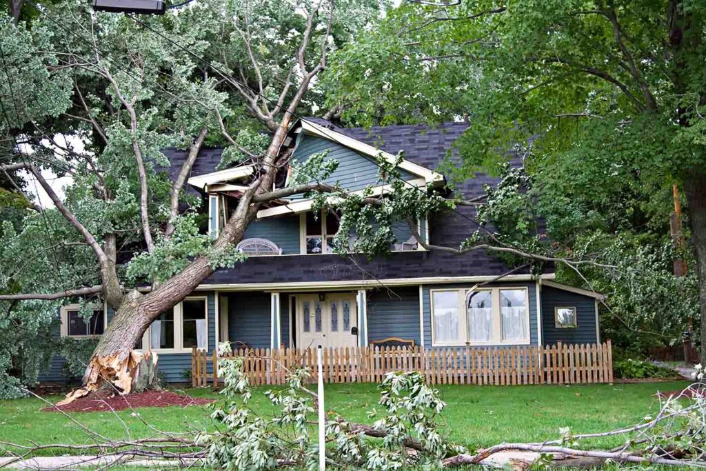 A large tree fallen on a house in Bloomington, IN