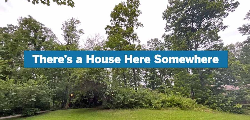 trees and overgrown brush hiding the view of a house