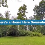 trees and overgrown brush hiding the view of a house
