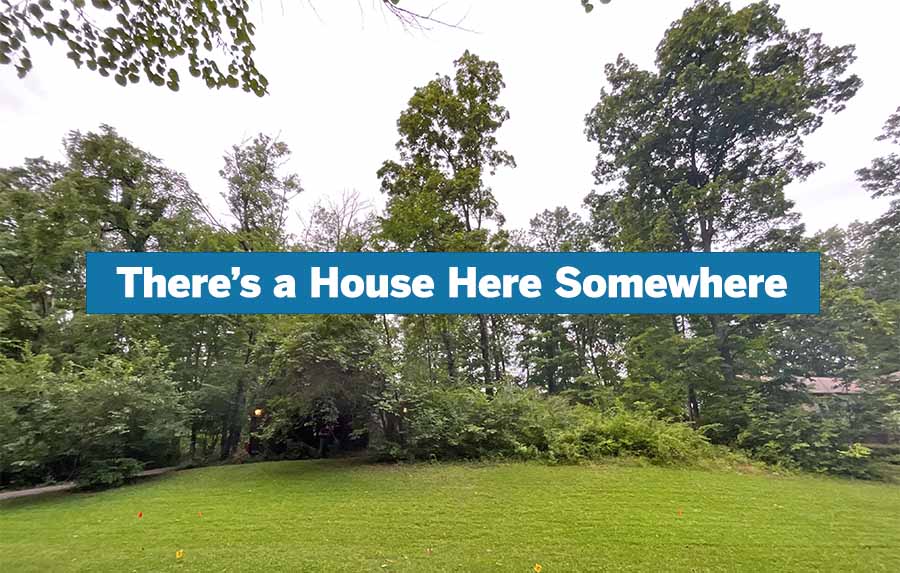 trees and overgrown brush hiding the view of a house