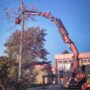 Dead Ash Tree Removal at Fire Station #4 [VIDEO SHORT]