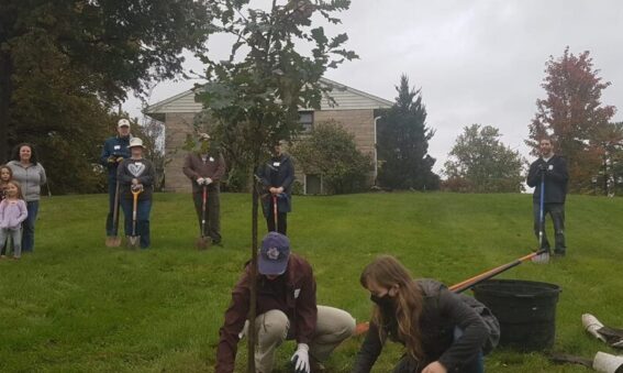 A group with shovels gathered around a tree for planting in Bloomington, IN