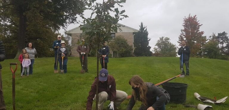 A group with shovels gathered around a tree for planting in Bloomington, IN