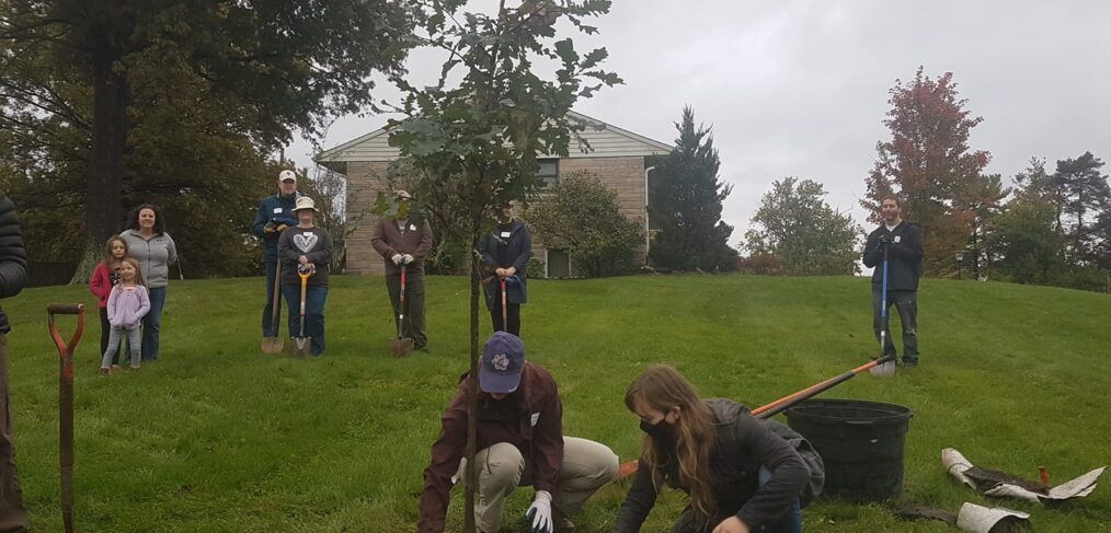 A group with shovels gathered around a tree for planting in Bloomington, IN