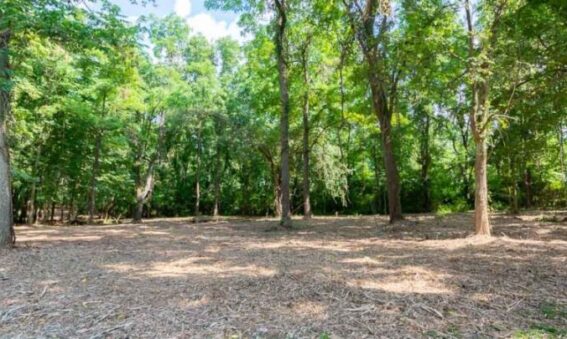 Forestry Mulching Land Clearing Service in Bloomington, IN