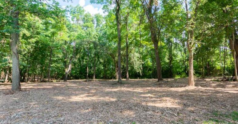 Forestry Mulching Land Clearing Service in Bloomington, IN