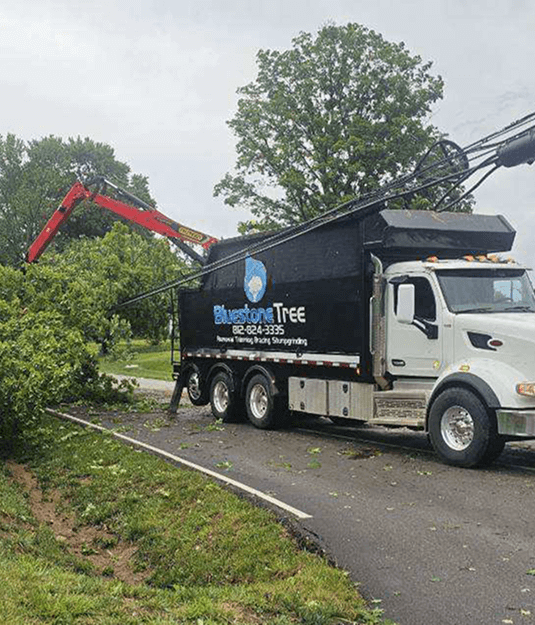 Safety truck parked at a work site for tree service operations