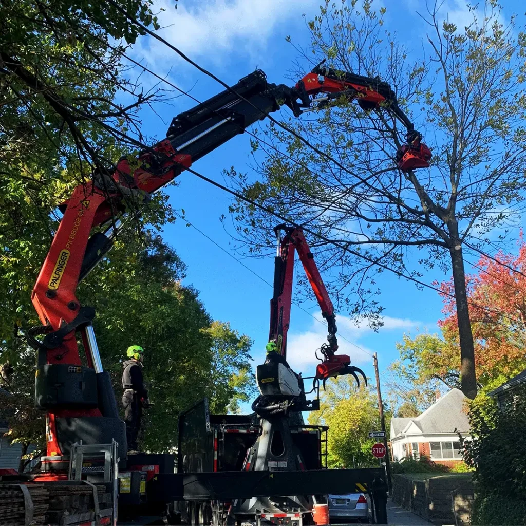Crane-assisted tree removal service lifting cut tree sections in a residential area