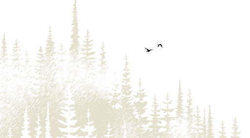 Bird flying above trees in a natural outdoor setting