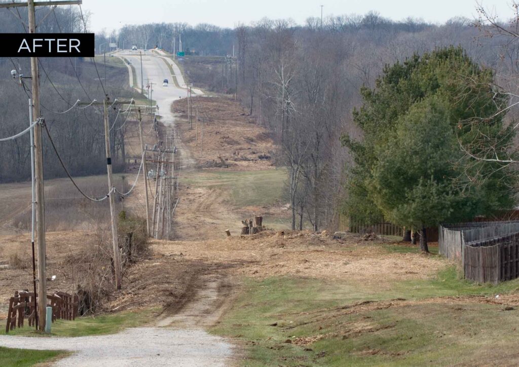Large-scale land clearing with heavy machinery and stacked logs