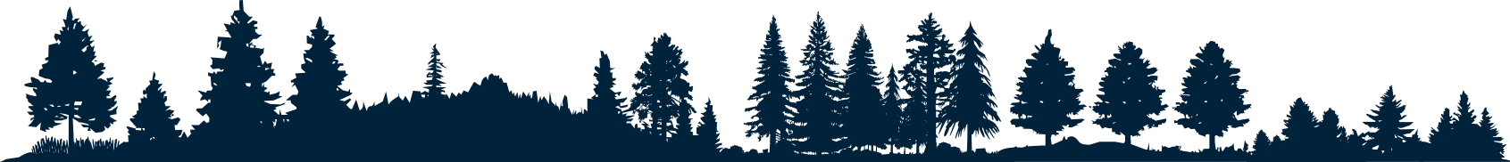 Multiple trees being trimmed and maintained by professional tree service workers