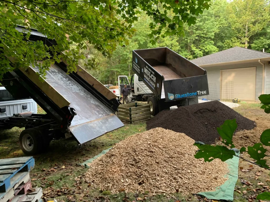 Tree sawdust scattered on the ground after tree cutting