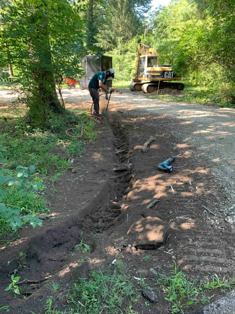Tree service professional trimming tree branches using a ladder and chainsaw