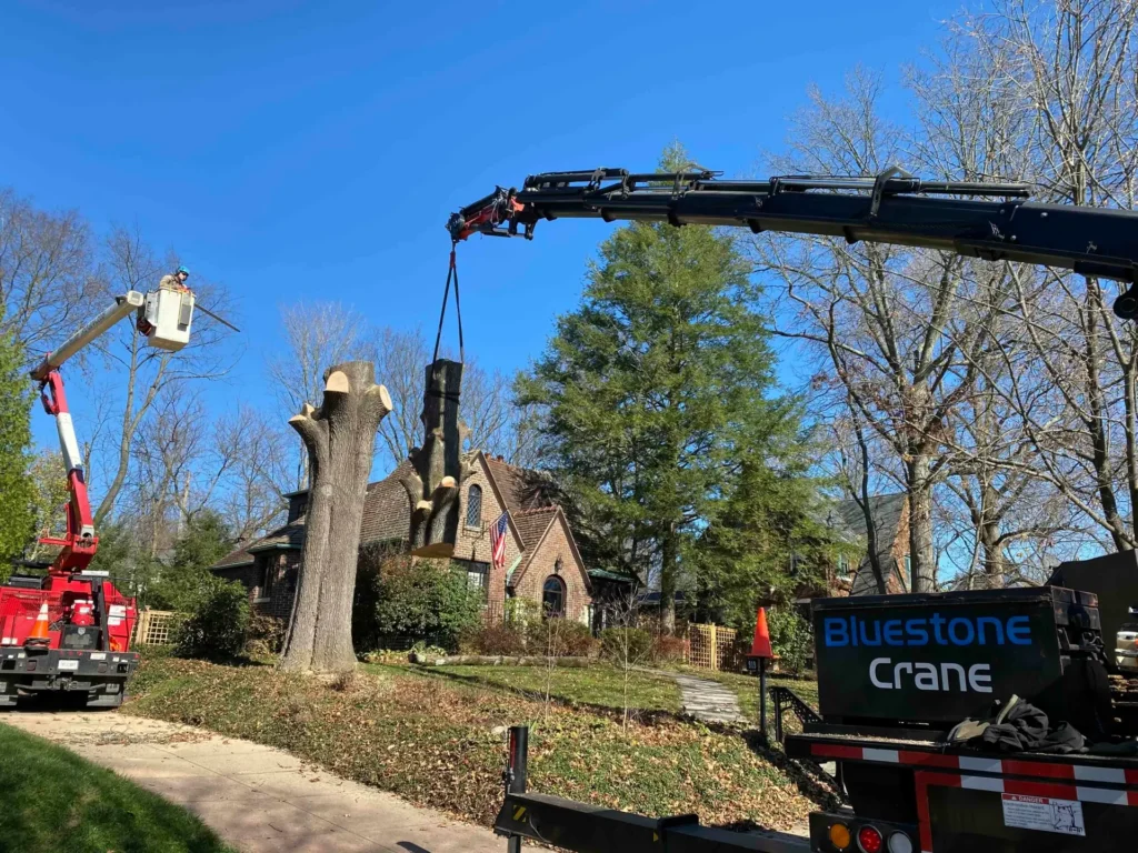 Tree service professional cutting tree branches using a lift and chainsaw