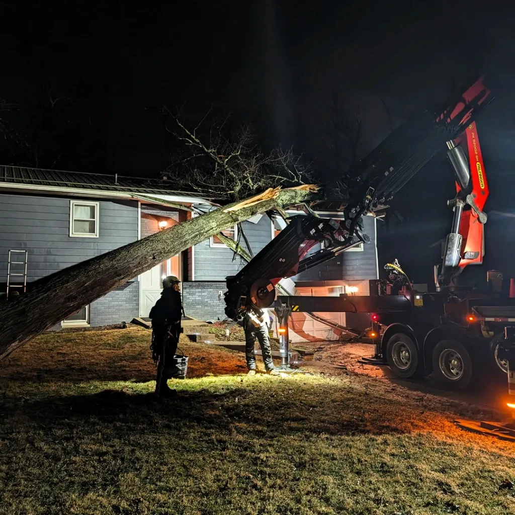 Nighttime scene of a large fallen tree resting on a blue house, with firefighters and a crane truck working to clear it.