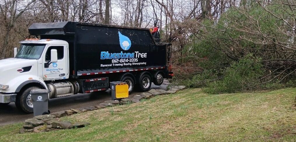 Bluestone Tree crew providing Bloomington tree service for a residential property
