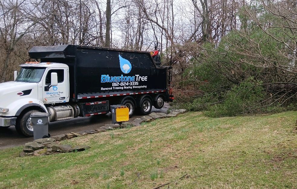 Bluestone Tree crew providing Bloomington tree service for a residential property
