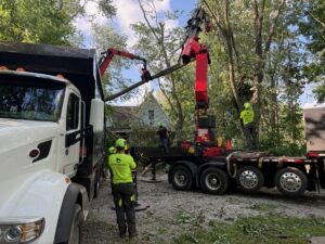 Bluestone Tree crew removing a large tree in a Bloomington Indiana residential yard