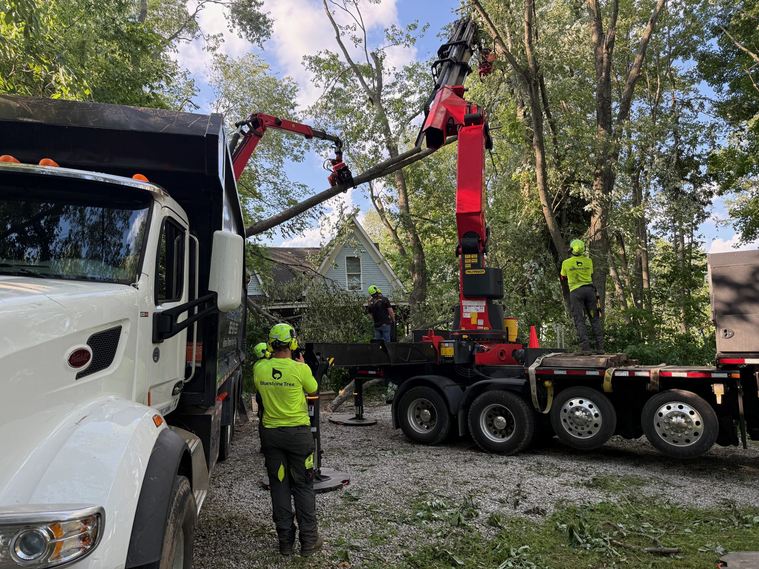Bluestone Tree crew removing a large tree in a Bloomington Indiana residential yard