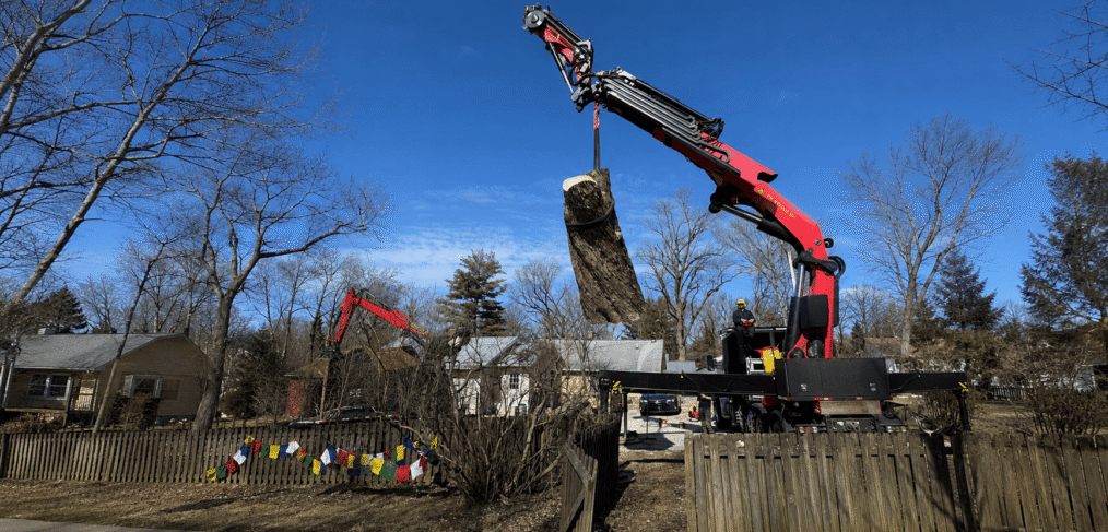 Hazardous tree with a split trunk over a home in Bloomington, Indiana, before removal