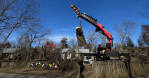 Hazardous tree with a split trunk over a home in Bloomington, Indiana, before removal