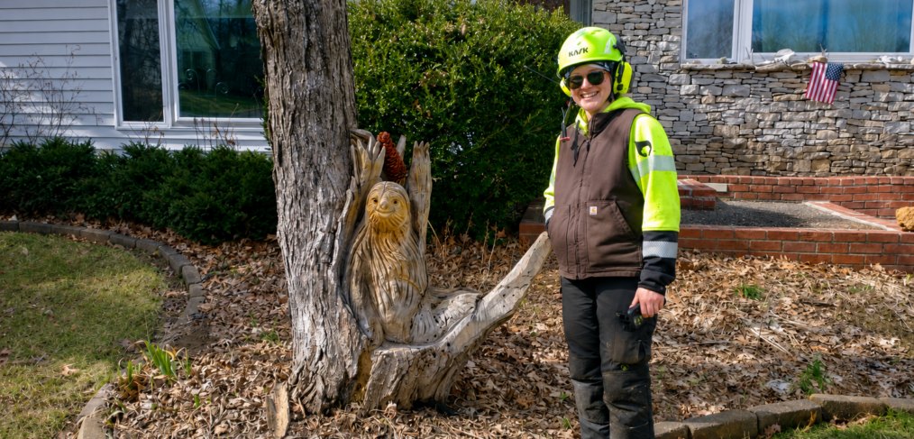 Photo of a tree care professional in safety gear performing tree work, illustrating what to look for when hiring a tree service in Bloomington, Indiana.