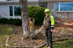 Photo of a tree care professional in safety gear performing tree work, illustrating what to look for when hiring a tree service in Bloomington, Indiana.