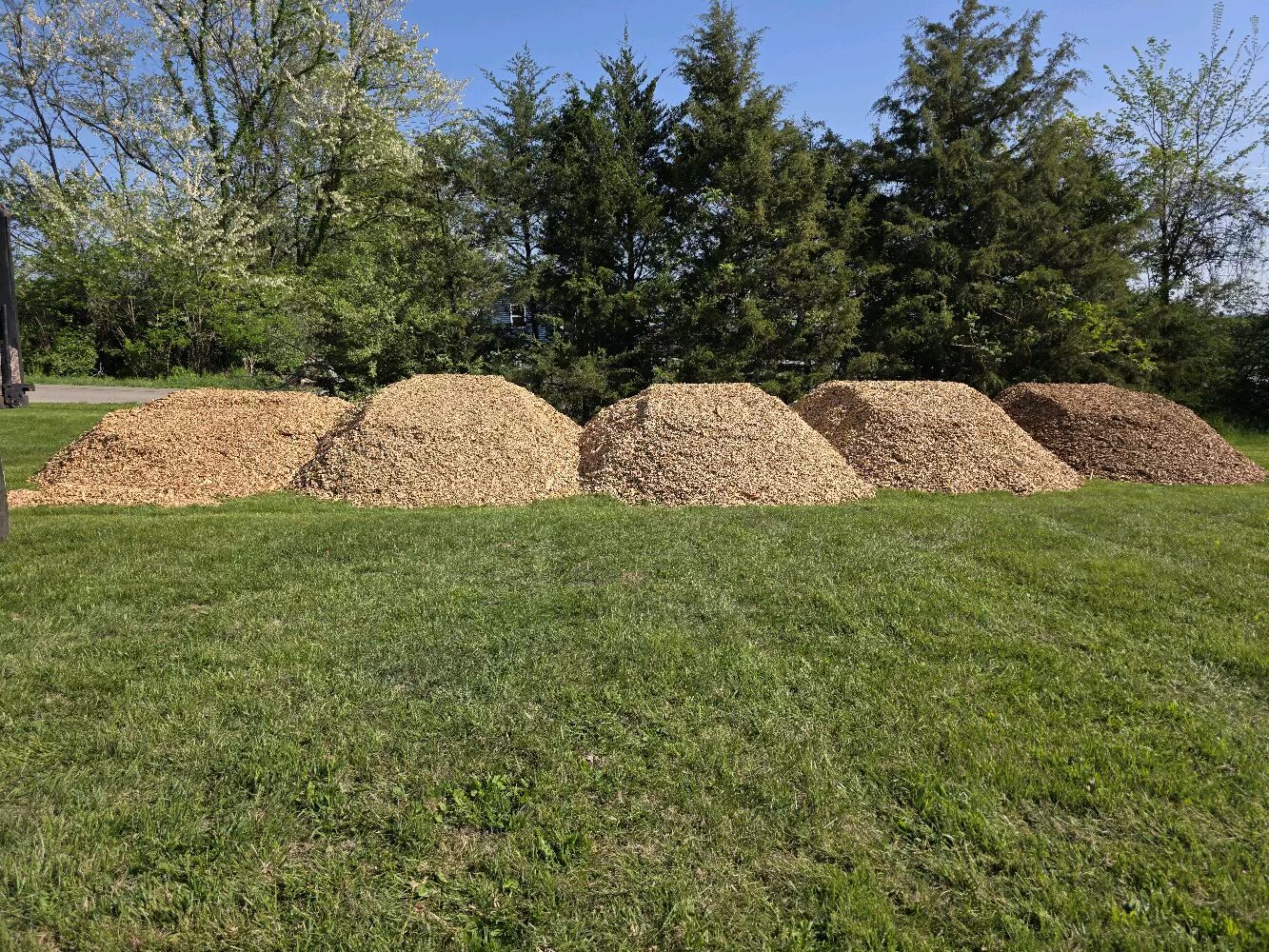 Landscape bed freshly covered in mulch around shrubs and plants